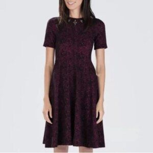 RARE! Zara Jacquard Jewel Neck Dress